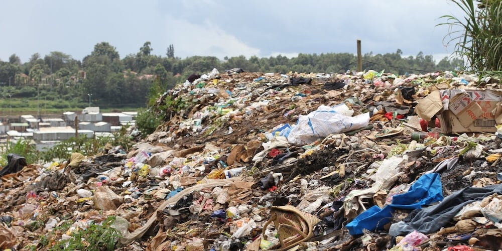 5 důvodů, proč mileniálové milují udržitelnou módu