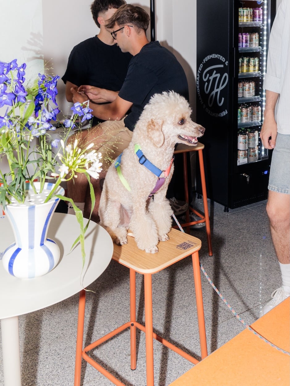 foto z akce Dog Owners Club release