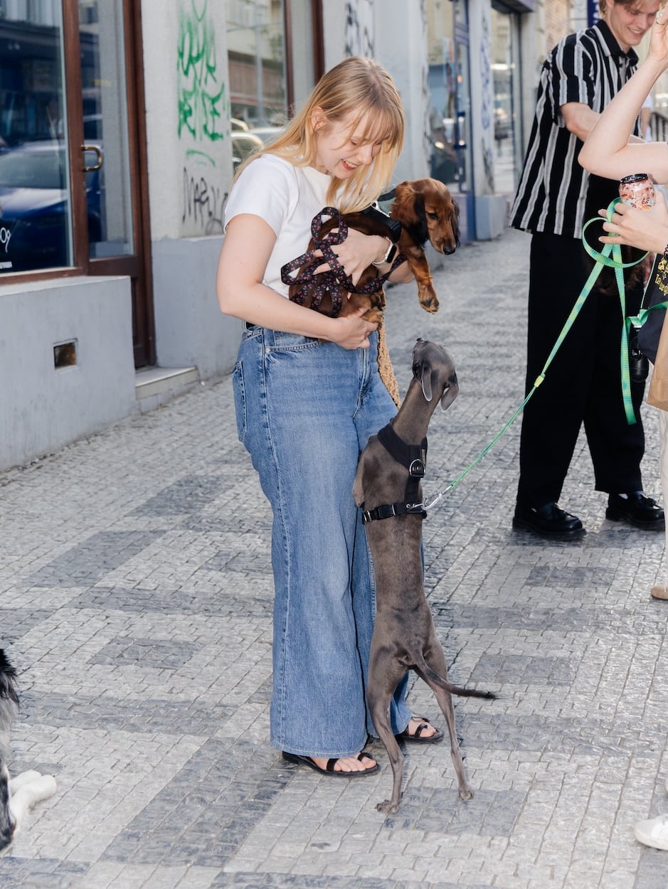 foto z akce Dog Owners Club release